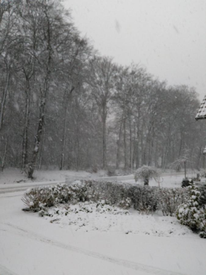 Anna'S B&B Rijssen Exteriör bild